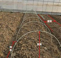 a fibra de 10mm reforçou a plantação plástica da casa verde de Rod Flexible Fiberglass Rods For