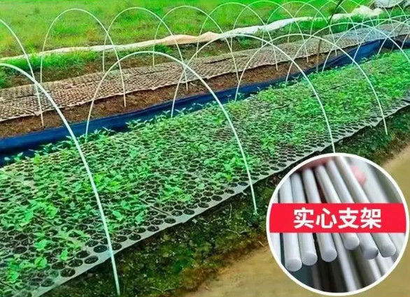 a fibra de 10mm reforçou a plantação plástica da casa verde de Rod Flexible Fiberglass Rods For