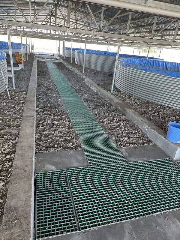Peixe Farm FRP Grating Walkway ou plataforma pode ser personalizado para tamanho e cor
