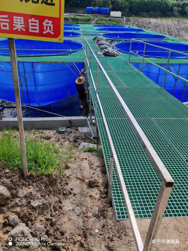 Peixe Farm FRP Grating Walkway ou plataforma pode ser personalizado para tamanho e cor